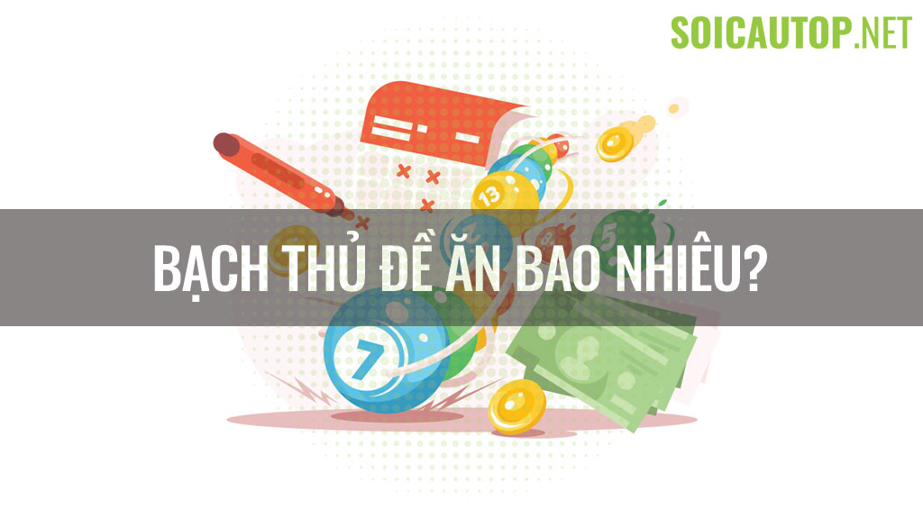 Bạch thủ đề ăn bao nhiêu?